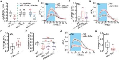 Disexcitation in the ASH/RIM/ADL negative feedback circuit fine-tunes hyperosmotic sensation and avoidance in Caenorhabditis elegans